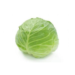 Badhakopi (Cabbage)