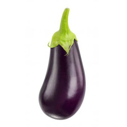 Eggplant (Begun) (Brinjal)