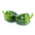 Green Chilli Capsicum