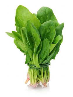 Palong Shak (Palong Spinach)